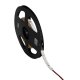 LED páska LEDS-B-CW 5M LED SMD studená bílá LED páska LEDS-B-CW 5M LED SMD studená bílá