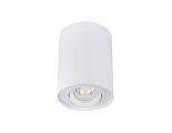Svítidlo bodové přisazené Kanlux BORD DLP-50-W, bílá